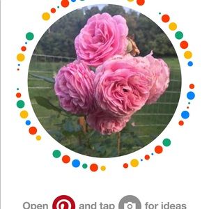 Seeking a trade.... Wanted a Kate Spade!